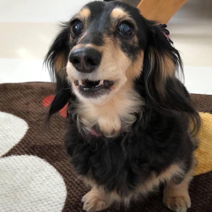 B3393501 e660 49b8 ad7c e03b9b5f4bc5 1555978604964