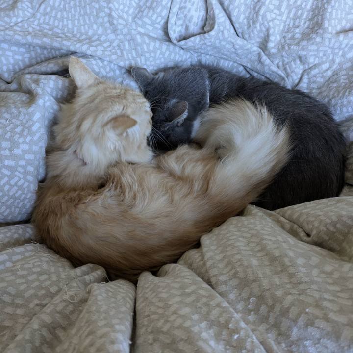 B3396262 2436 4b9c b556 137c2d716042 1763519744506