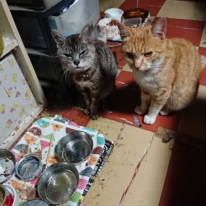 B3396b59 6c85 4213 997d f06dcab089a7 1592164232824