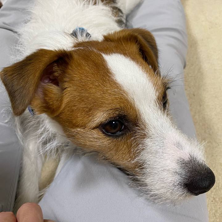 B339743e 6c0f 4084 b093 4befc67d2f7c 1723467328087