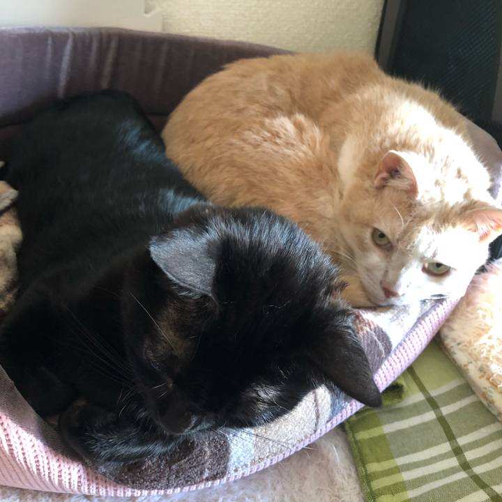 B3398294 b92f 4b71 bd36 db7e06f8789e 1610708714569