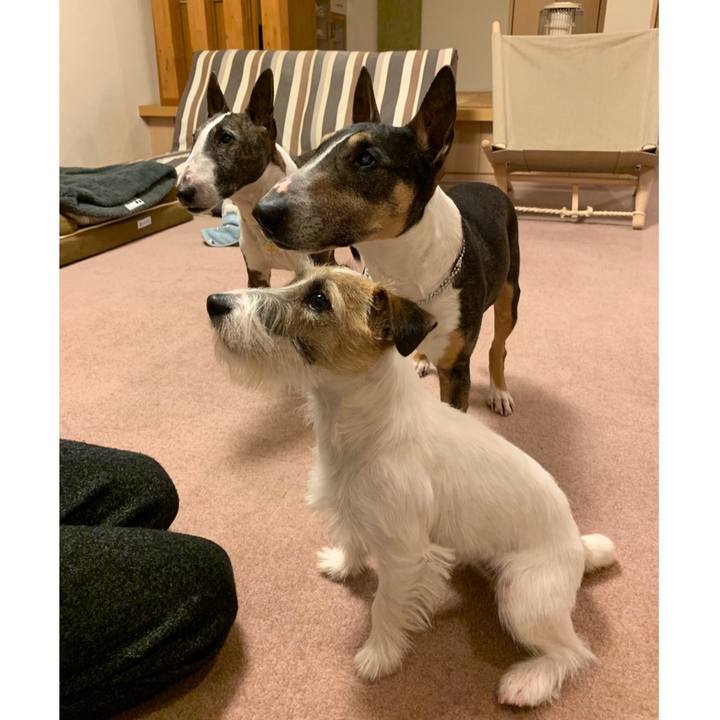 B339a9e0 7a30 4438 b072 fdcc06b310d7 1583932299913