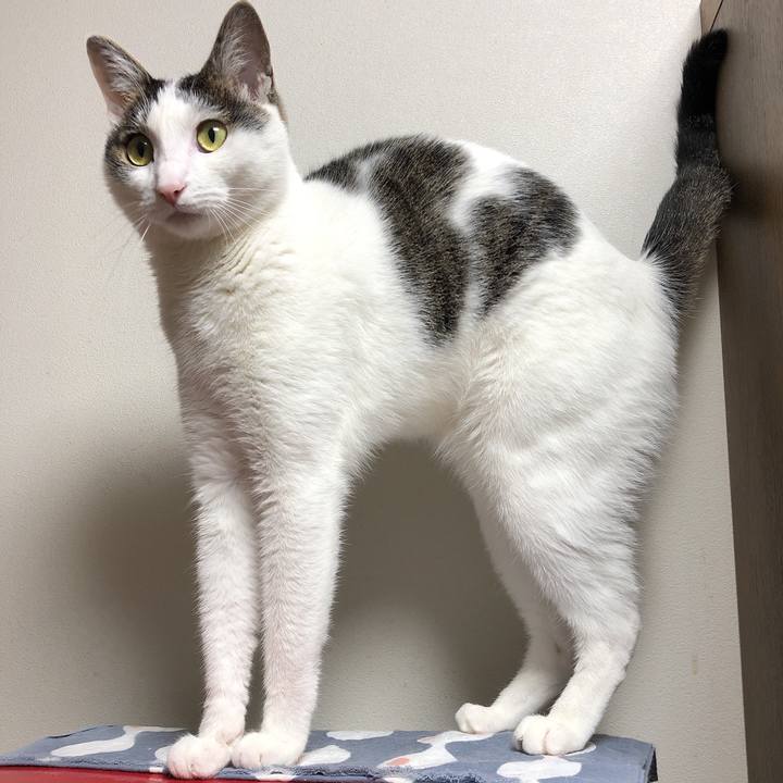 B339adc6 52d3 4594 9934 127de55e2985 1624449207644