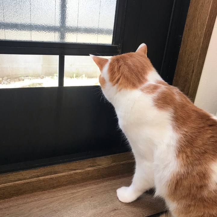 B33a2971 bd91 4b2f b23b 31180474c387 1618977279733