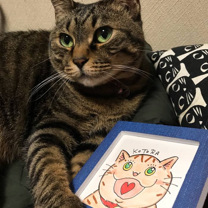 B33a33ae 45c6 4b8b a4fe 3a666f61600c 1556647353536