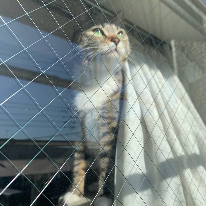 B33a370c 090e 4b9d 84dc 189736c056b9 1552530218316