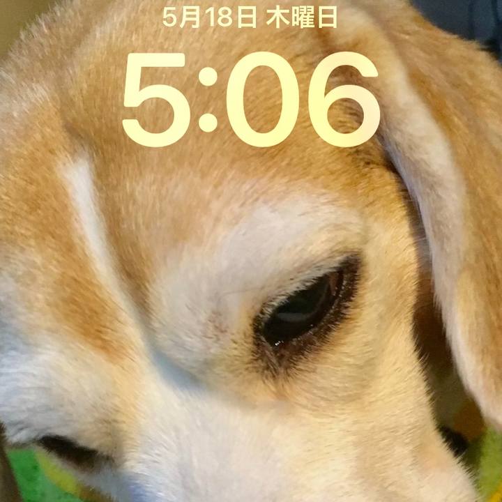 B33a7e9a 59ce 4818 ad0e 833dd408f69c 1684368885176