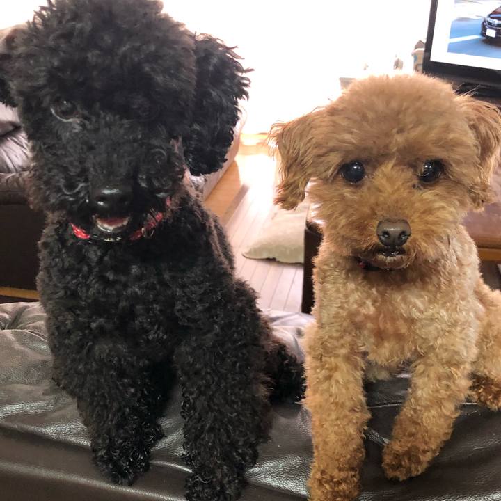 B33a8734 230c 4f54 b1b2 16ce8e11e4b0 1560771335674