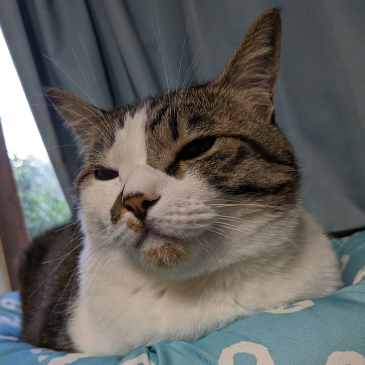 B33a972d a24e 4e45 a0a3 b77752929392 1683059486378