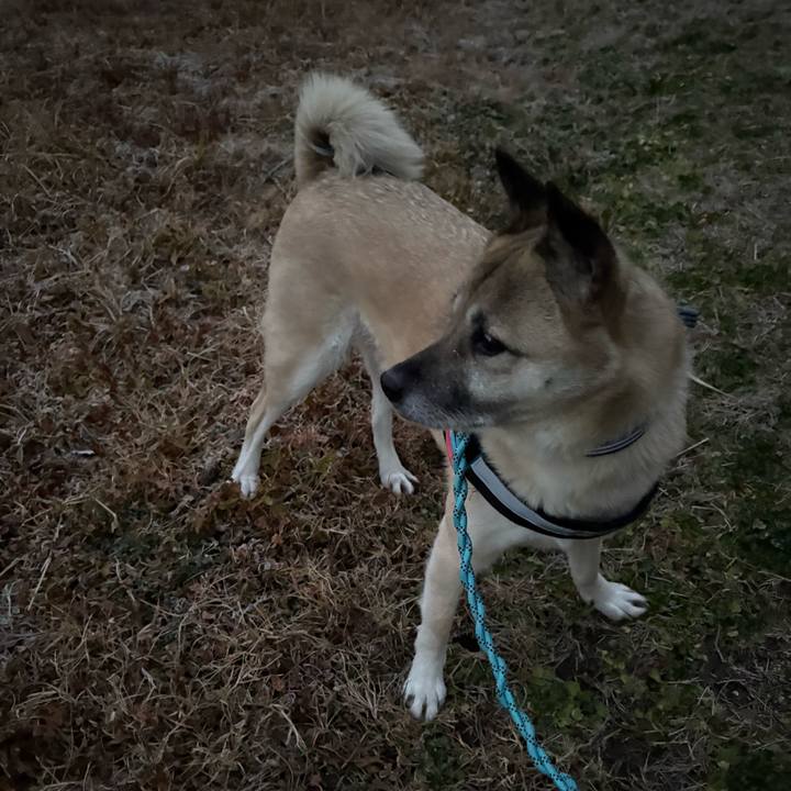 B33aa918 defd 4867 862d daff0ad24ef7 1738329913353