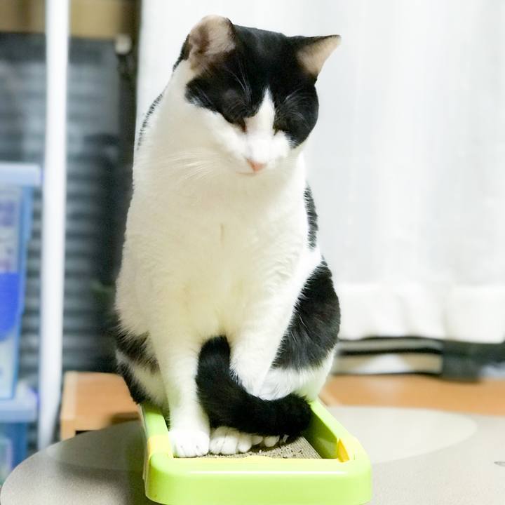 B33b0b7c f5b3 4032 a47f cfc716686aa7 1514198635955