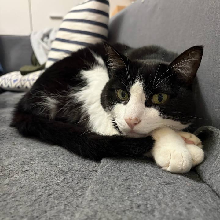 B33b43bf f044 4e21 935a 5795d90898b2 1763091770521