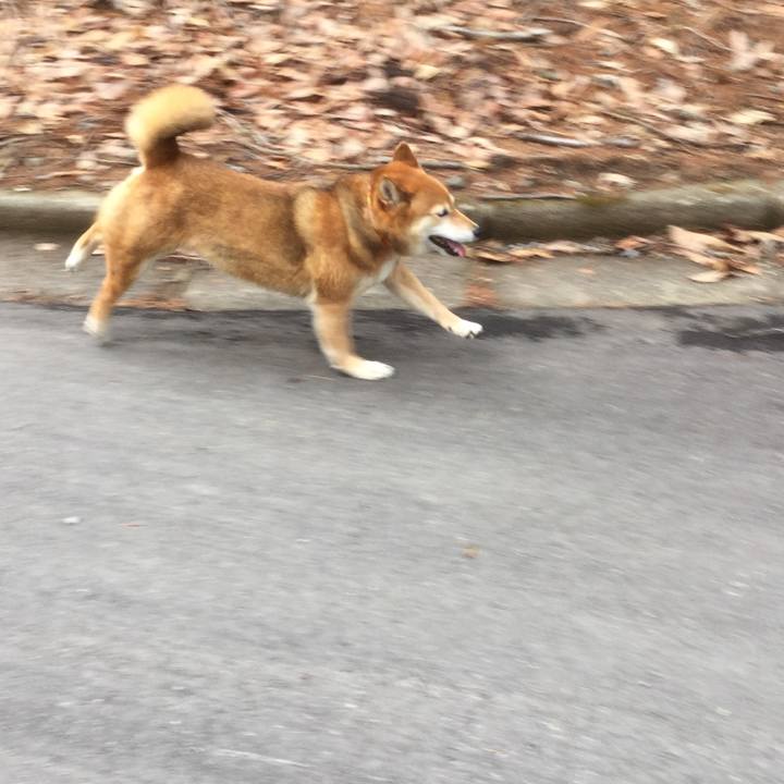 B33b6bd1 f92b 4d11 a92c c2cf69b505d9 1556715444715