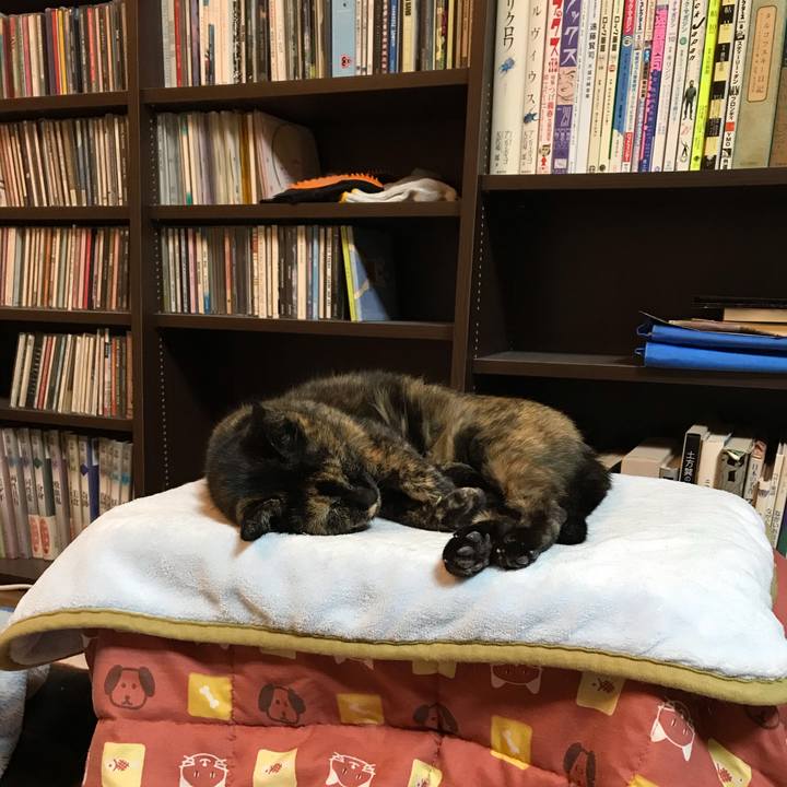 B33bd4e1 4263 4e12 9341 beb95da03448 1573875893600