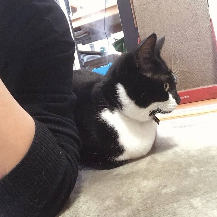 B33bf99f 8a15 4982 a4db d246d023f3e8 1758686533495