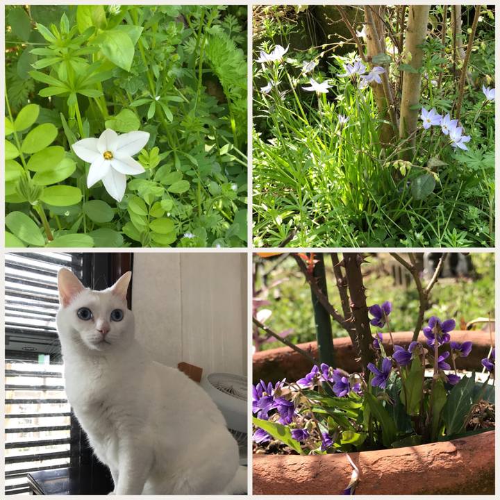 B33bfcc8 6d37 422f 8835 3935d8d74bb7 1521809850219