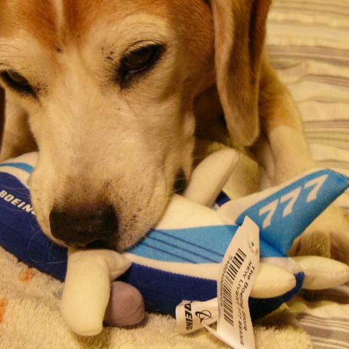 B33c022f ffef 45b1 b606 cca1aa4201f2 1667436589376