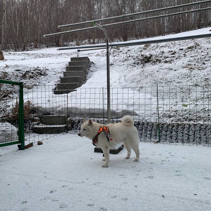 B33c06d2 d261 4120 a9f5 b83c22347b26 1617938353420