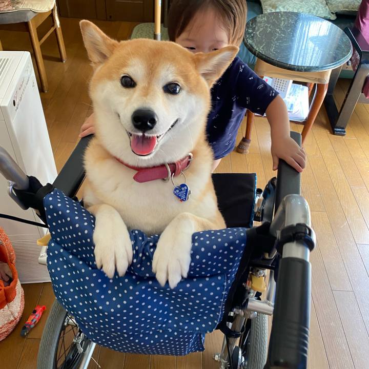 B33c0b25 0cf4 4e8b 9e42 b2965d375fe1 1628316003682