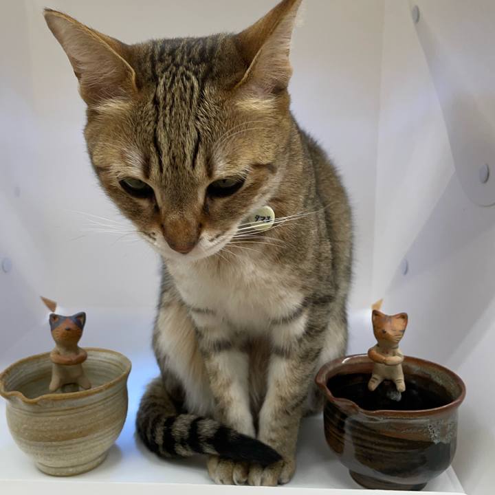 B33ccff7 4f60 421a 8c36 a851ad404f18 1682212013540