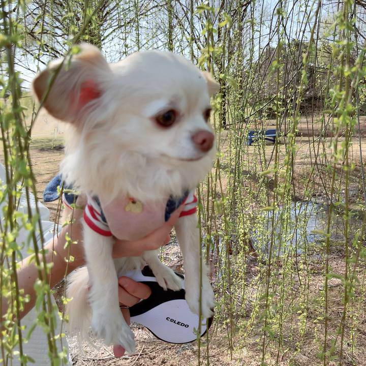 B33ce8f1 2db6 42e3 bcc9 e15c45e4c865 1710583753166