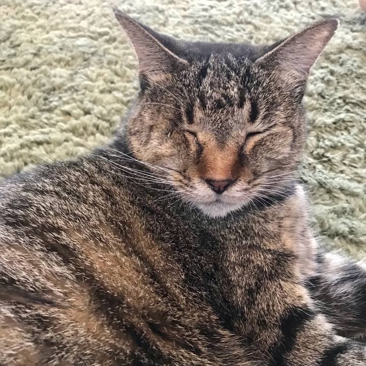 B33cf746 00b3 4eeb 84d0 4c9b4dd42fea 1629945634186