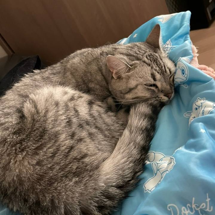 B33cfd0c 6814 42e0 bb88 1bfff639e54d 1625091577984