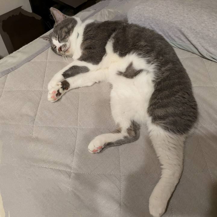 B33cfea7 01a8 4bd3 ac38 988ff83ab176 1725542894823