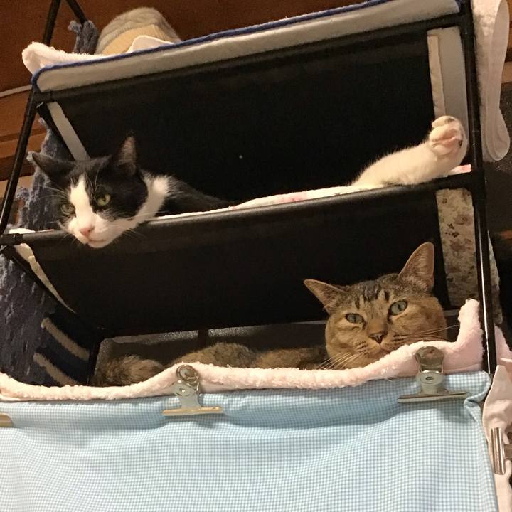 B33d31a8 4638 4692 a2b6 f8399a64e66c 1757922089121