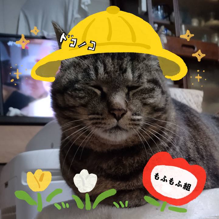 B33d483a 732d 4748 bdd8 54d63d66f871 1712405019424