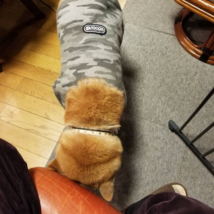 B33d650b a6cc 4766 a229 f9abb6e41f4c 1644051305663