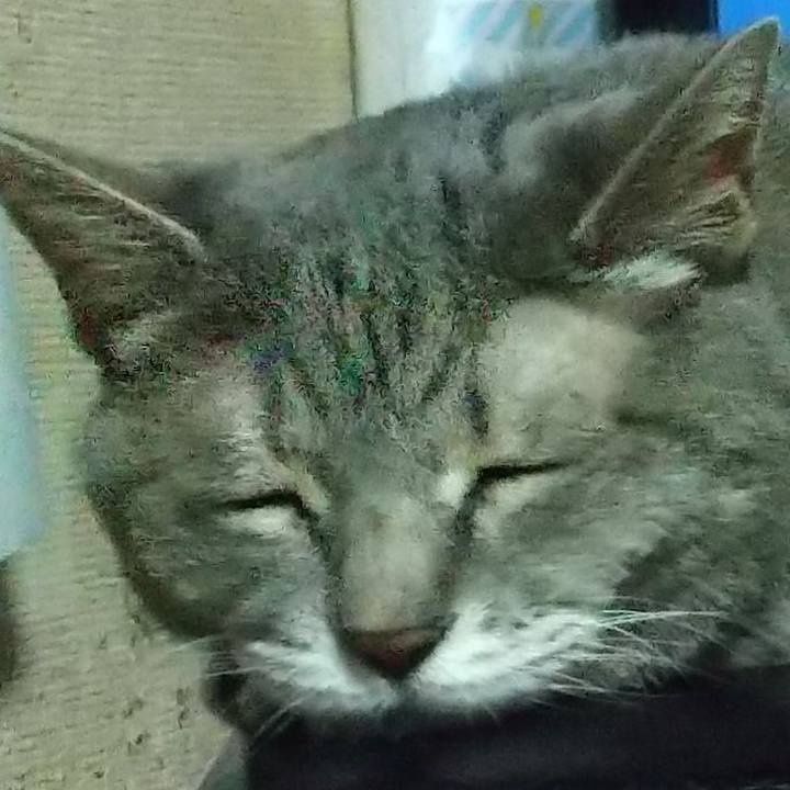 B33d70e5 dfce 4160 8fdd 32edf91ab4f6 1693742325595