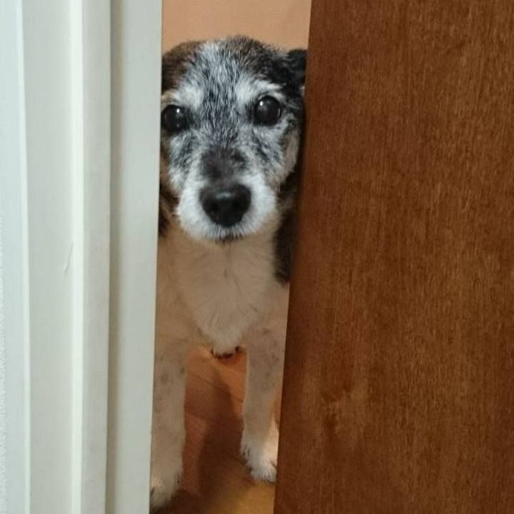 B33d791c d448 4b64 9159 30533aad061b 1590901775960