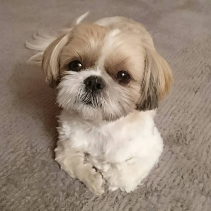 B33d7fce 3469 446d b75f b544202aea01 1554680218661