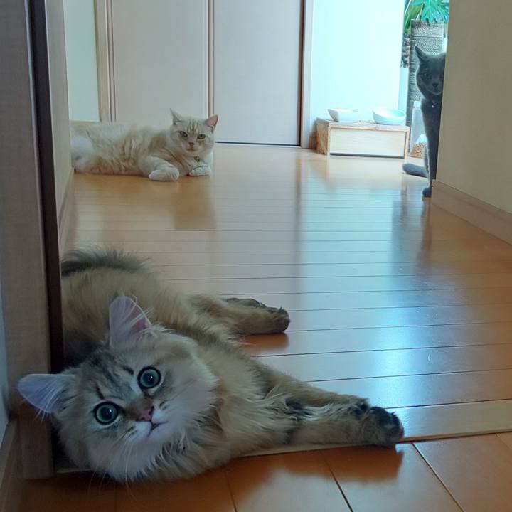 B33d8b94 0589 4947 955c 93f986cc3b7a 1563149741166