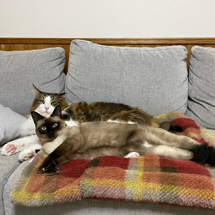 B33da9df 6805 4a88 9f90 49ee1eeba518 1729021492967