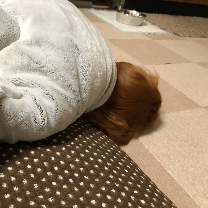 B33dbd22 9f05 4c23 a40e 6208809609d8 1543443960931