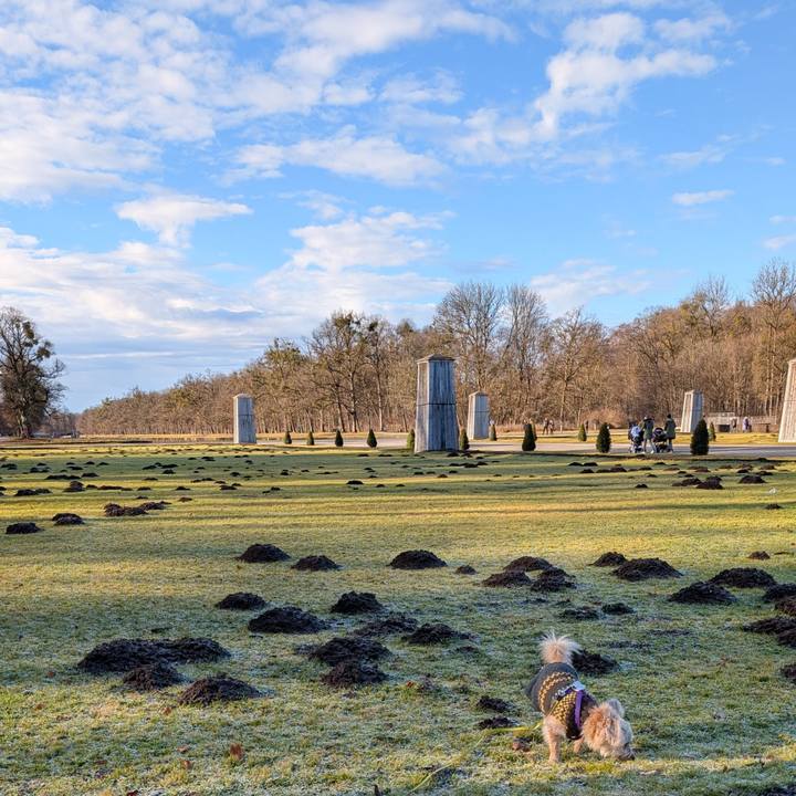 B33de7c0 f8e1 4c85 b6a3 7be6fec39d47 1766157578756