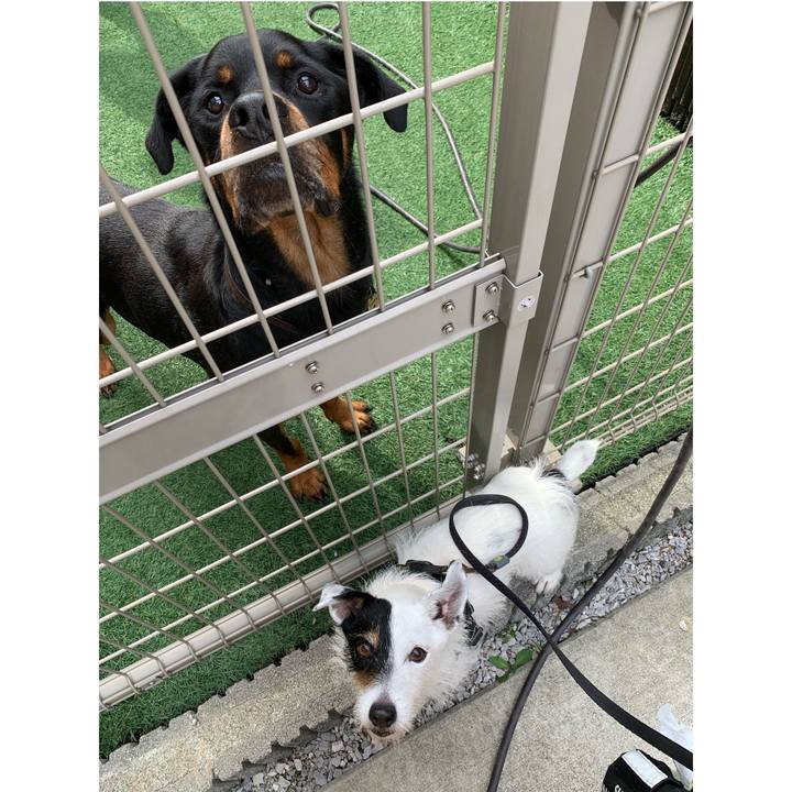 B33e09d4 e1e8 4d58 9df9 99223240f52b 1718846322284