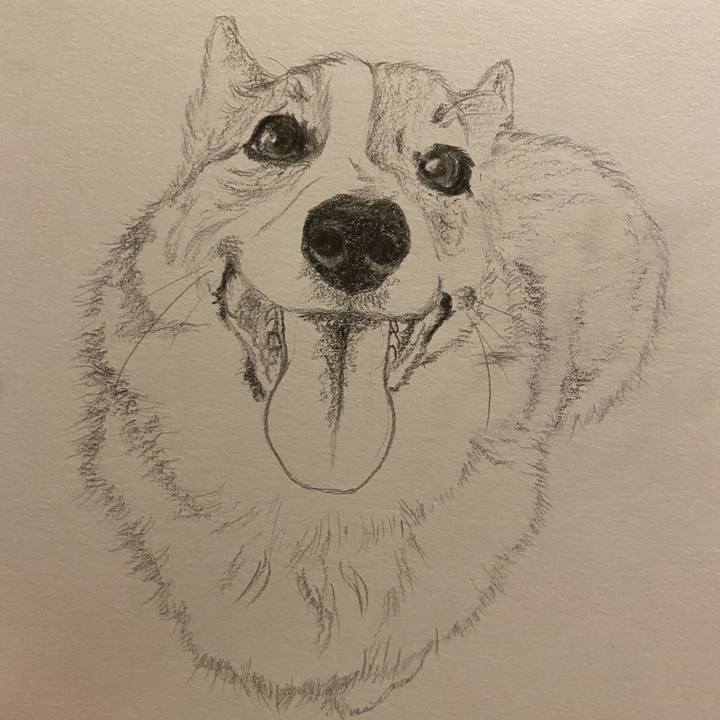 B33e0a49 4fd1 4d8e 93f5 4041c5eb5dc6 1644415626987