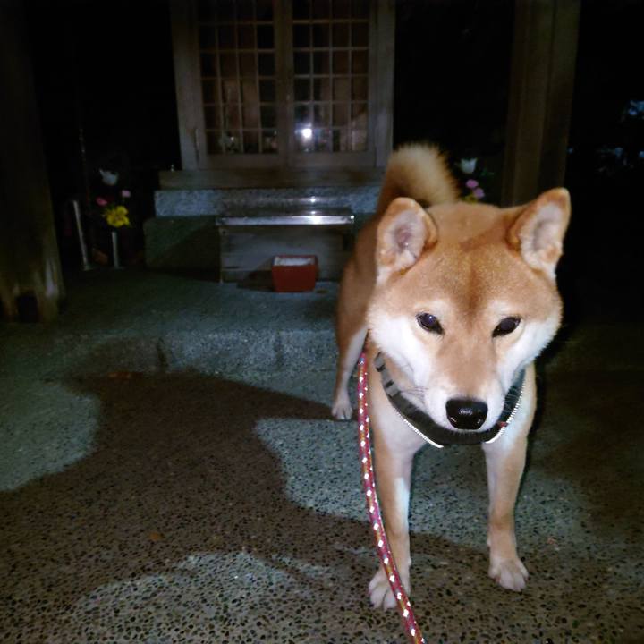 B33e1217 d51f 4cb8 bf87 512f2bb0d52a 1765183278640