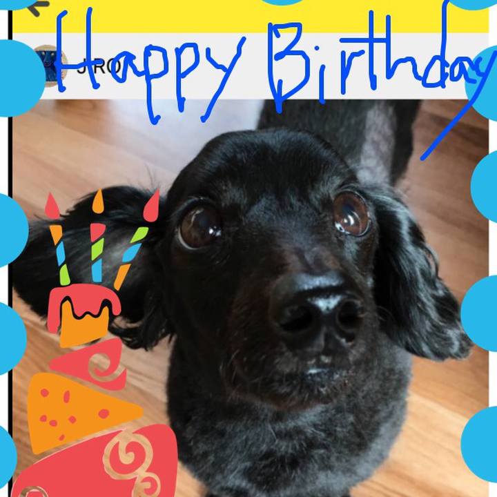 B33e4048 b2ad 466e aab1 5a239226dff8 1516747818683