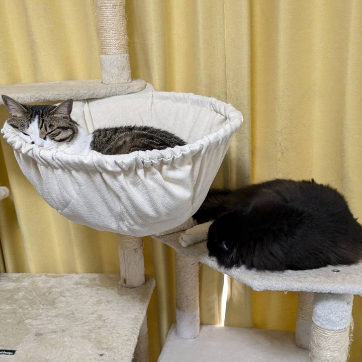 B33e8385 312c 4651 8ced 2b2b76c1df73 1721015316458