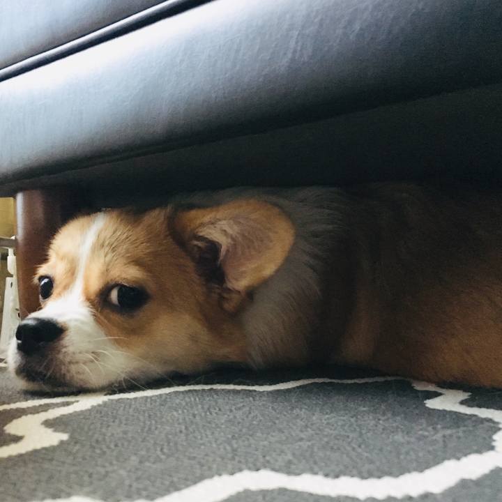 B33e97e2 4b0a 473f a827 21206a4fc363 1566340845797