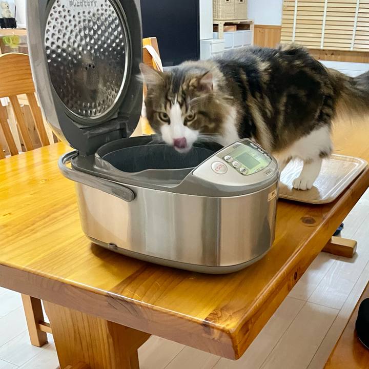 B33ea6b2 c190 46fd a077 9899d46a7d2a 1647374075082