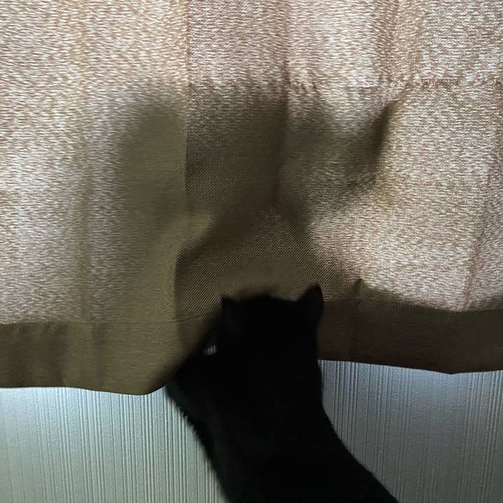 B33f3f2b e9b5 4532 a6eb da112c7cbdfc 1635506818790