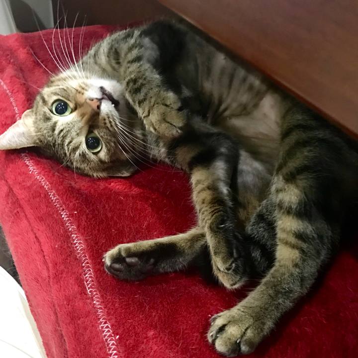 B33f48a8 382f 4183 a02a c57641a329ae 1529761566552