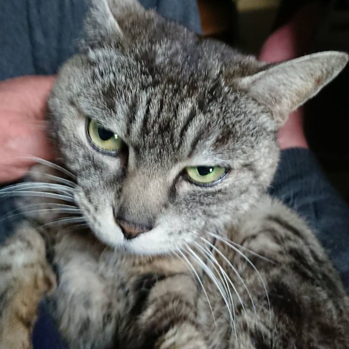 B33f5ea9 b798 405f b76b 771929b4354e 1551268551173