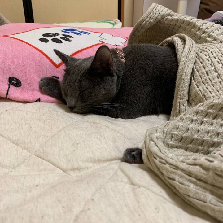 B33f6abc bb60 4270 9b91 51a4efcfb403 1568987797265