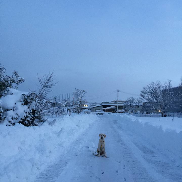 B33f86e6 73d6 4ef8 bae0 95e8b820671b 1580907512410